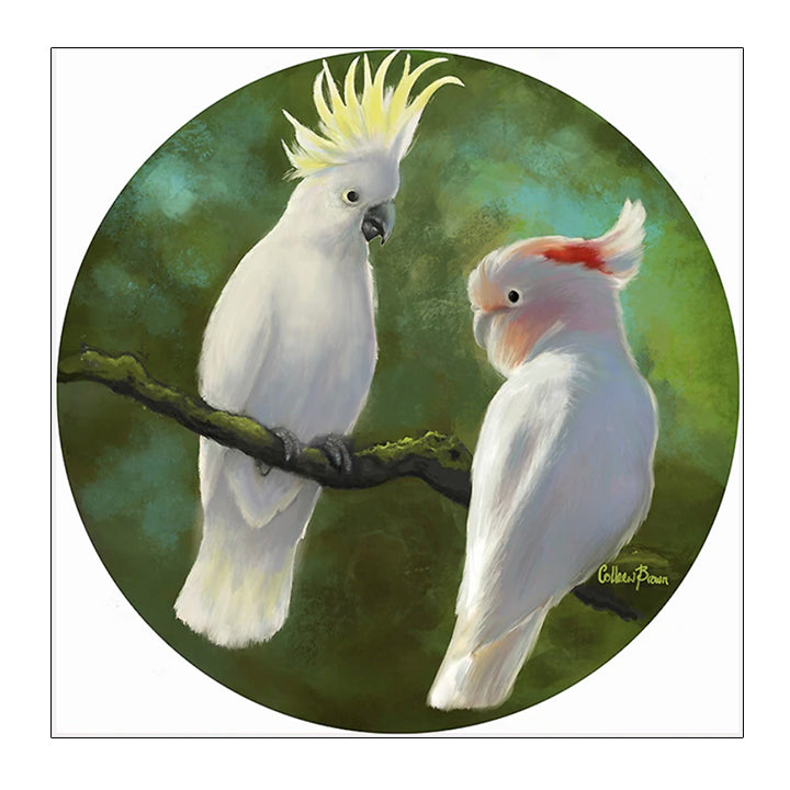 BEAUTIFUL BIRDS