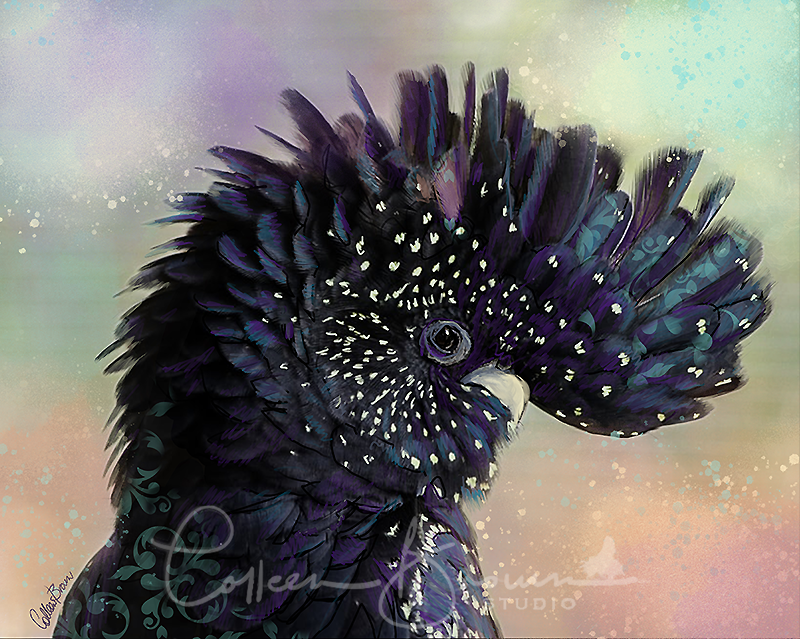 Party Like a Black Cockatoo - Colleen Brown Studio