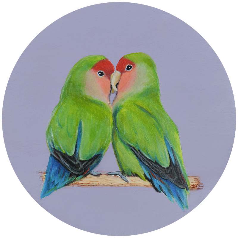 Two Love birds cuddling on a branch sumi-e Zen painting art print